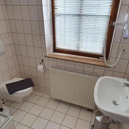 Casa de hóspedes Alte Post Zu Stetzsch *